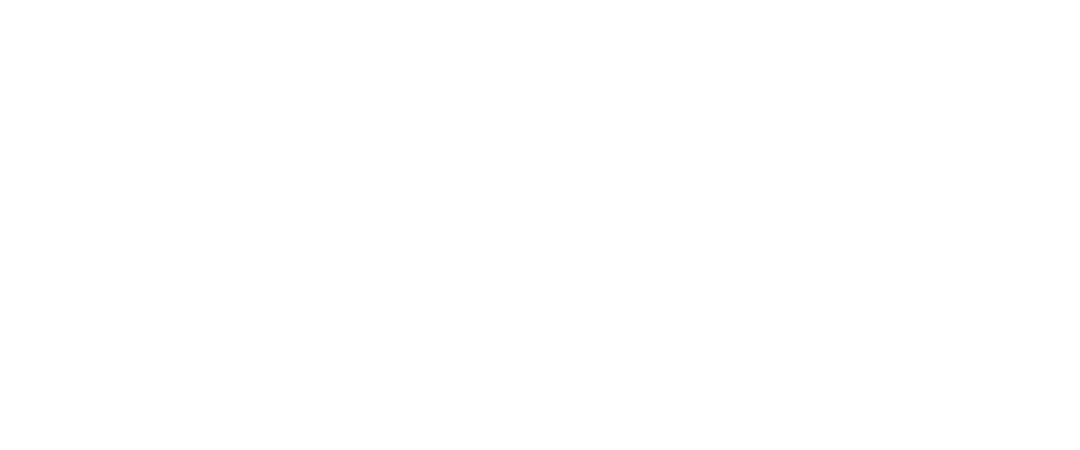 20221213 abfc logo prancheta 1 cópia 21